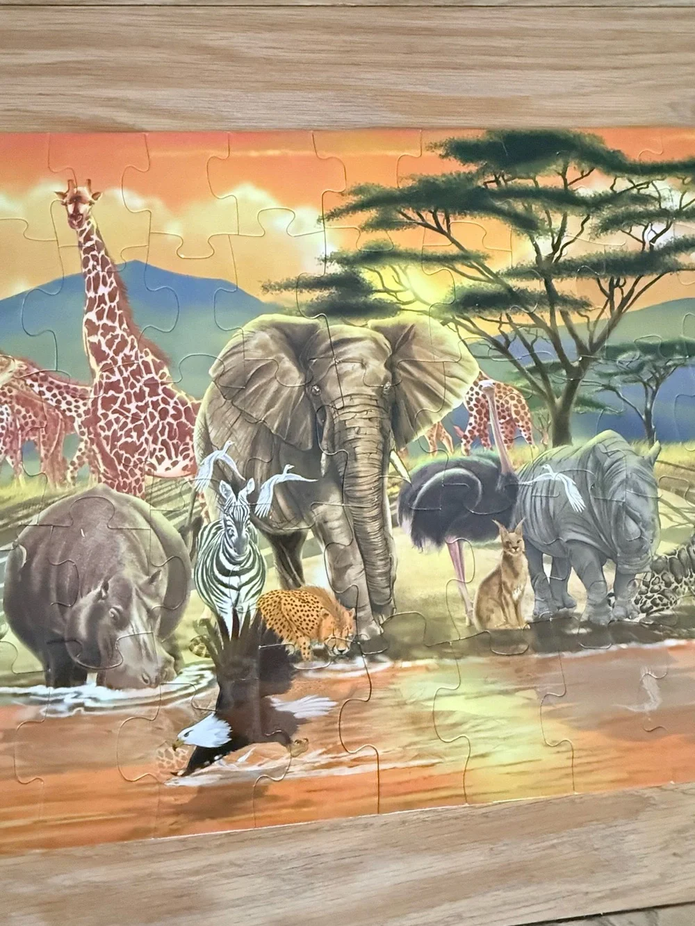 Melissa & Doug Large Safari Animal Puzzle - Orange, Green, Blue, Brown
